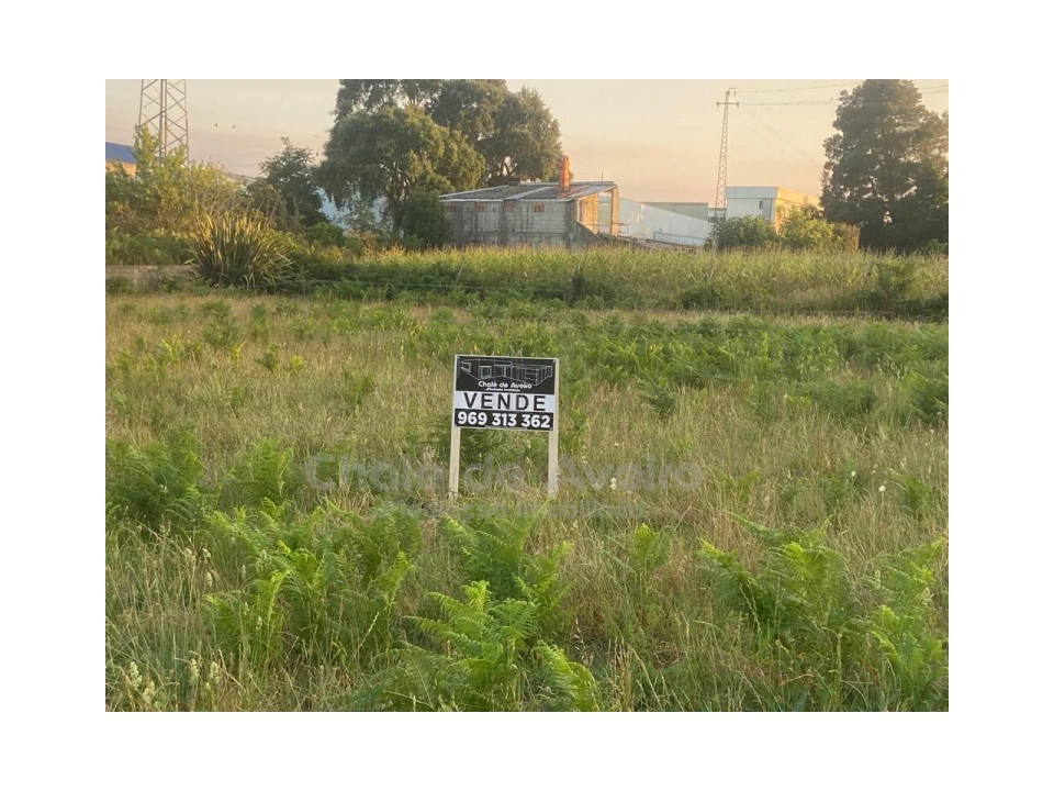 Terreno para Venda em Trofa, Segadães e Lamas do Vouga Foto 7