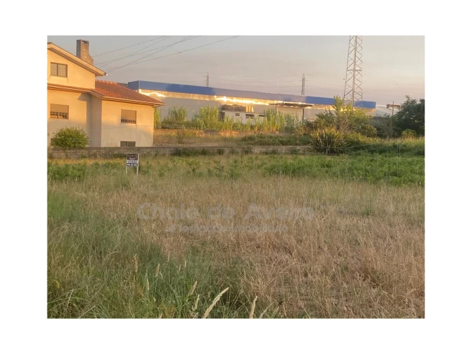 Terreno para Venda em Trofa, Segadães e Lamas do Vouga Foto 5