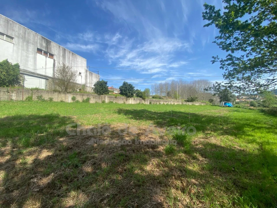 Armazém para Venda em Belazaima do Chão, Castanheira do Vouga e Agadão Foto 7