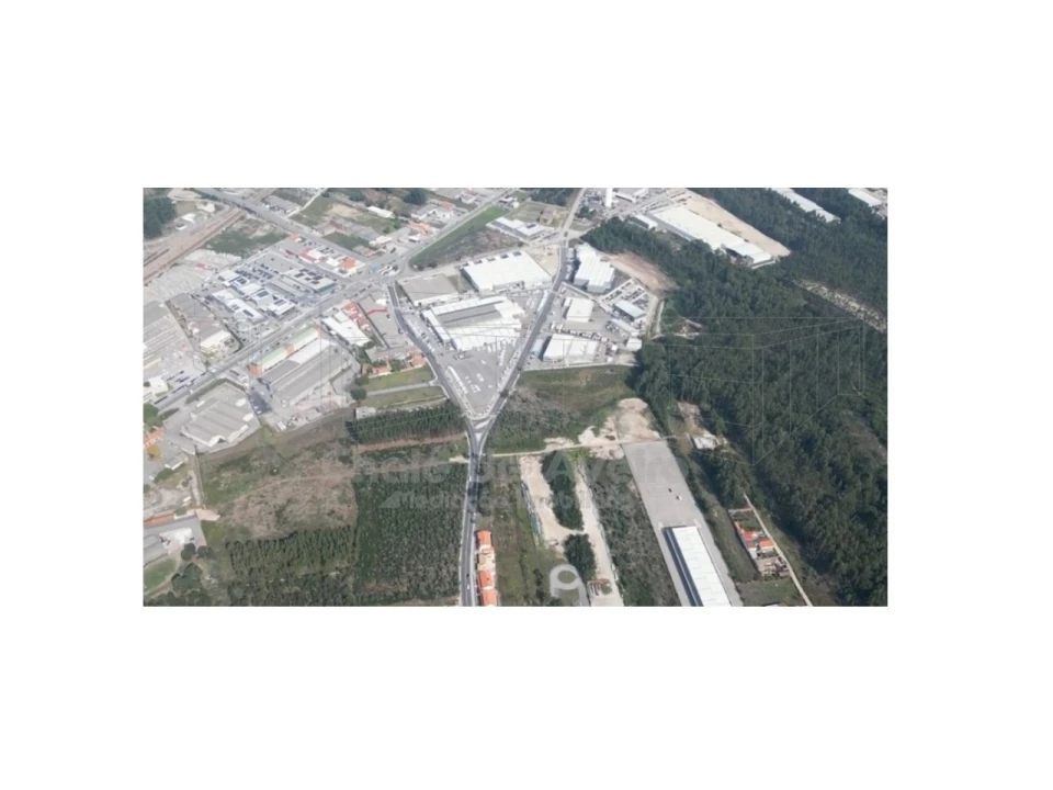 Armazém para Arrendamento em Esgueira Foto 2