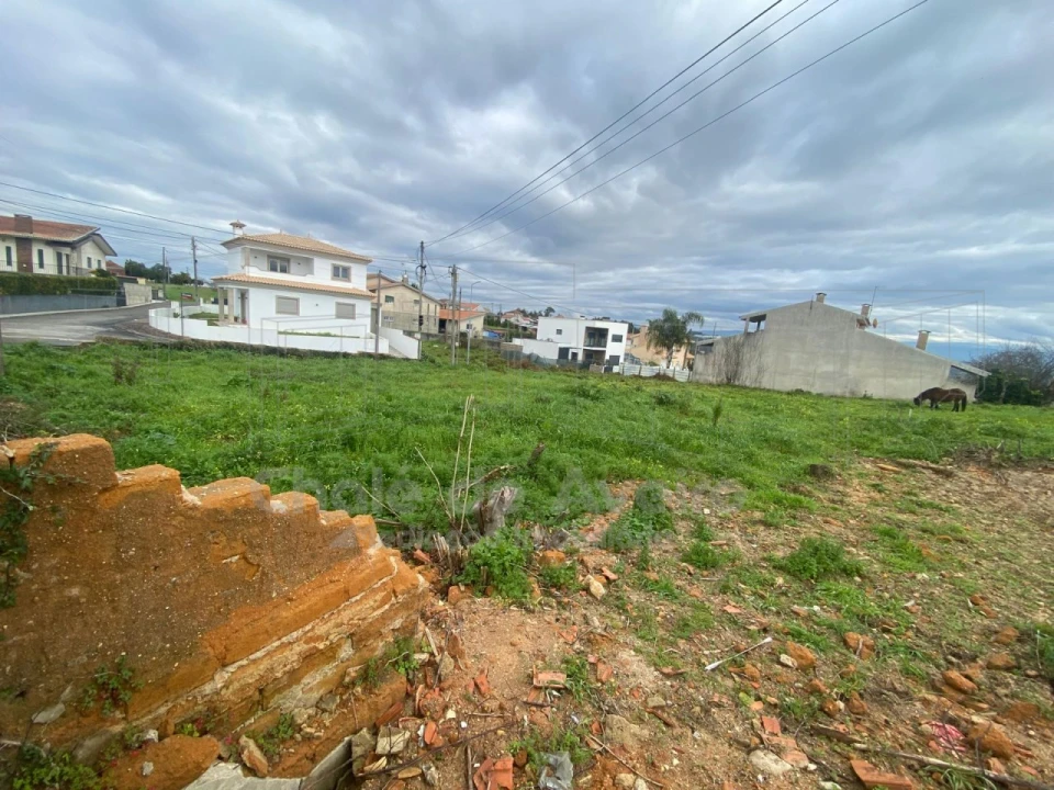 Terreno para Venda em Oliveira do Bairro Foto 3