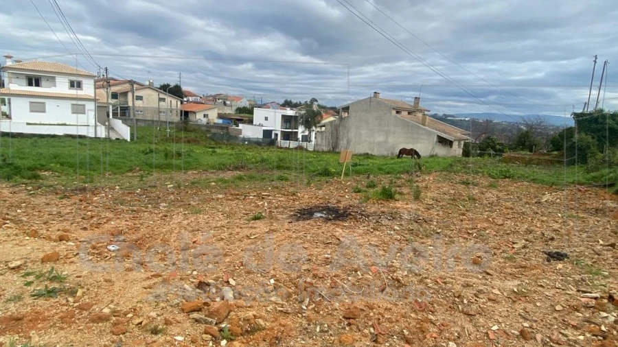Terreno para Venda em Oliveira do Bairro