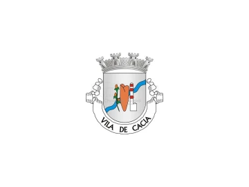 Moradia T4 para Venda em Cacia
