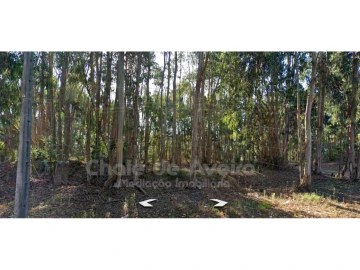 Terreno para Venda em Oiã