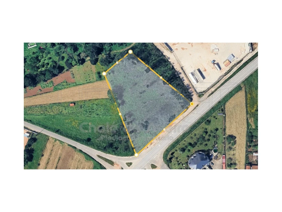 Terreno Agricola ou Rústico para Venda em Albergaria-A-Velha e Valmaior Foto 2