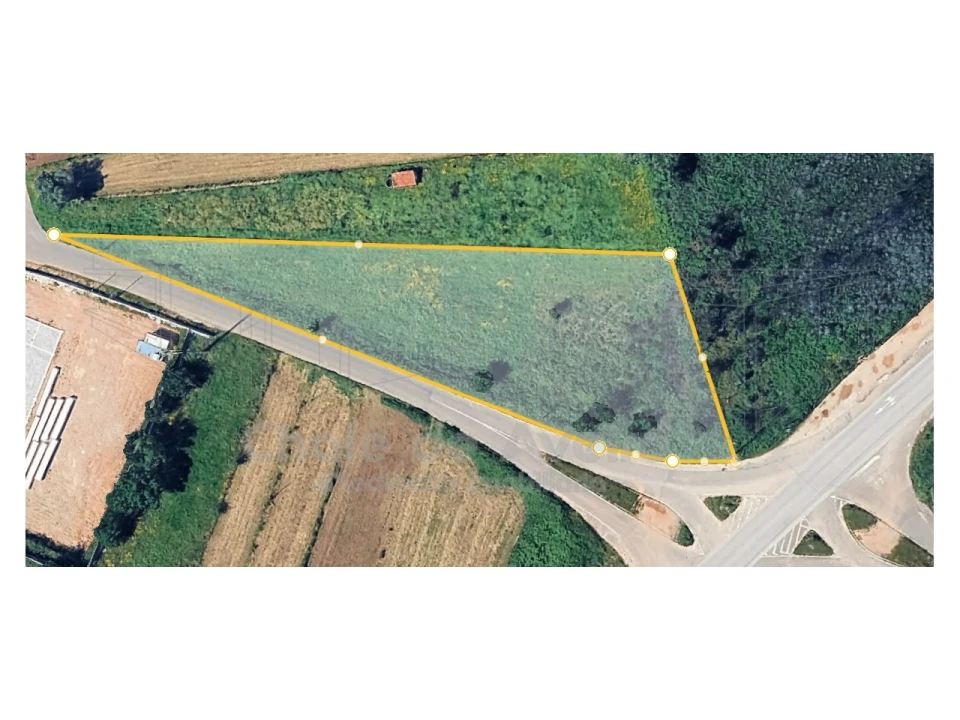 Terreno Agricola ou Rústico para Venda em Albergaria-A-Velha e Valmaior Foto 3