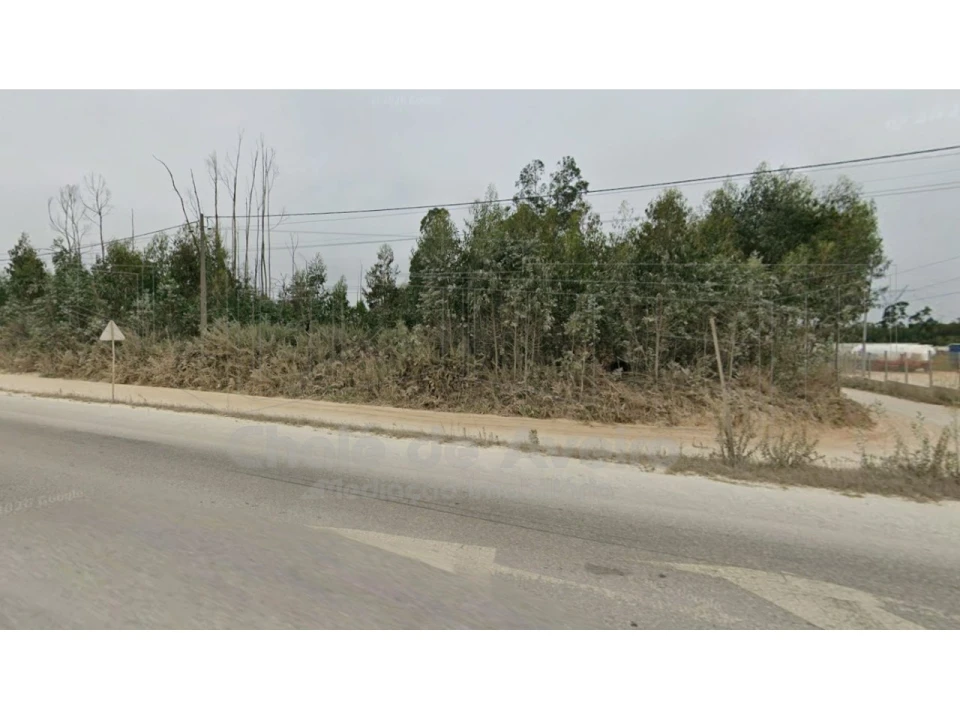 Terreno Agricola ou Rústico para Venda em Albergaria-A-Velha e Valmaior Foto 5