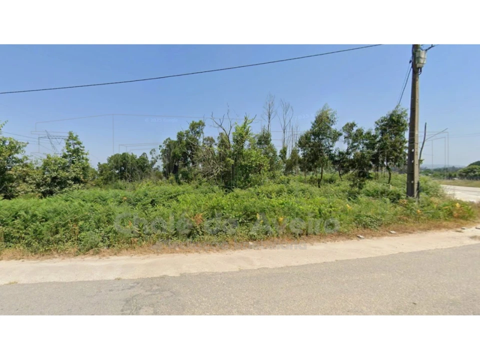 Terreno Agricola ou Rústico para Venda em Albergaria-A-Velha e Valmaior Foto 6