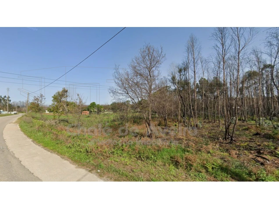 Terreno Agricola ou Rústico para Venda em Albergaria-A-Velha e Valmaior Foto 4