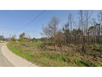 Terreno Agricola ou Rústico para Venda em Albergaria-A-Velha e Valmaior