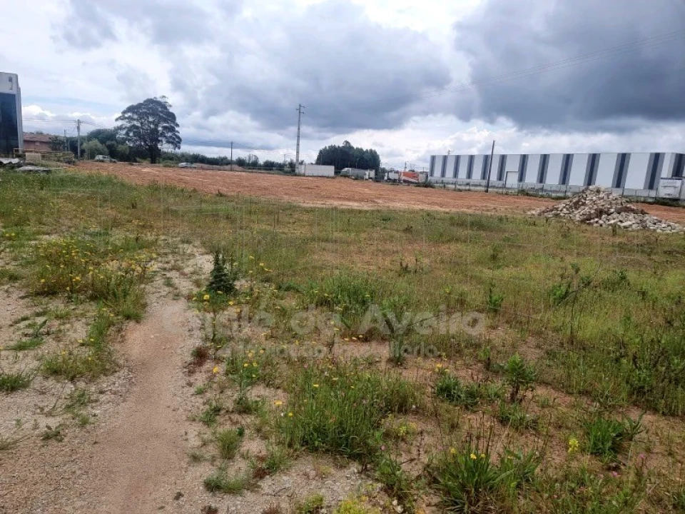 Armazém para Venda em Albergaria-A-Velha e Valmaior Foto 17
