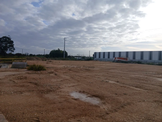 Armazém para Venda em Albergaria-A-Velha e Valmaior Foto 21
