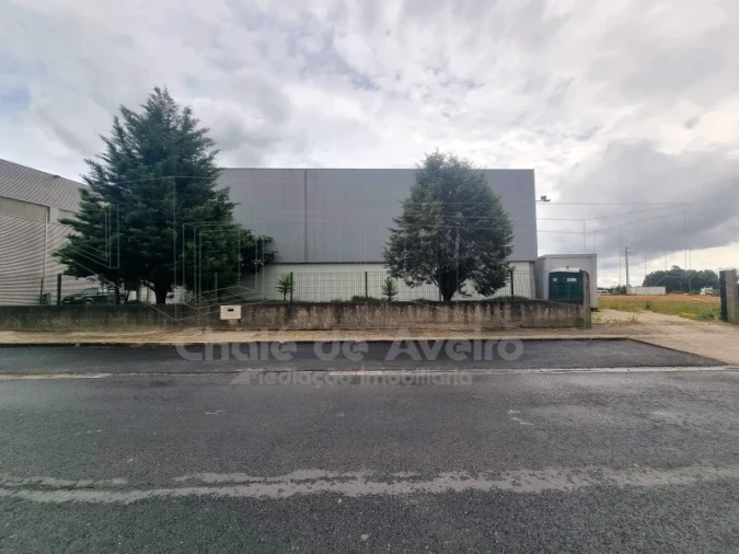Armazém para Venda em Albergaria-A-Velha e Valmaior Foto 22