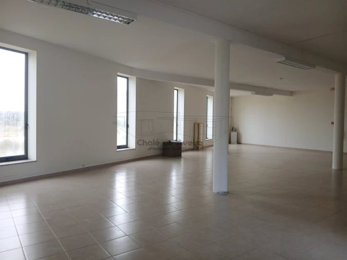 Armazém para Venda em Albergaria-A-Velha e Valmaior Foto 2