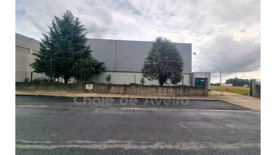 Armazém para Venda em Albergaria-A-Velha e Valmaior