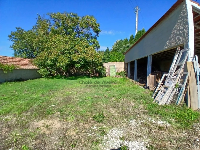 Terreno para Venda em Valongo do Vouga Foto 2