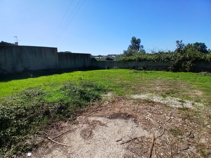 Terreno para Venda em Valongo do Vouga Foto 4