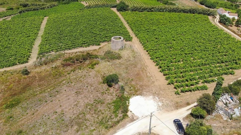 Terreno para Venda em Carnota