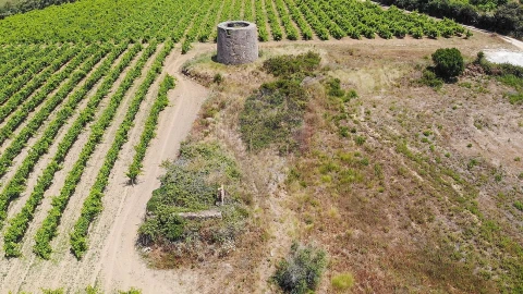 Terreno para Venda em Carnota