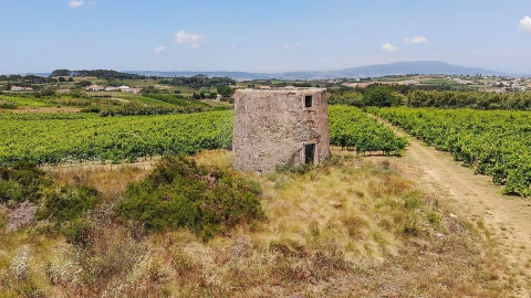 Terreno para Venda em Carnota