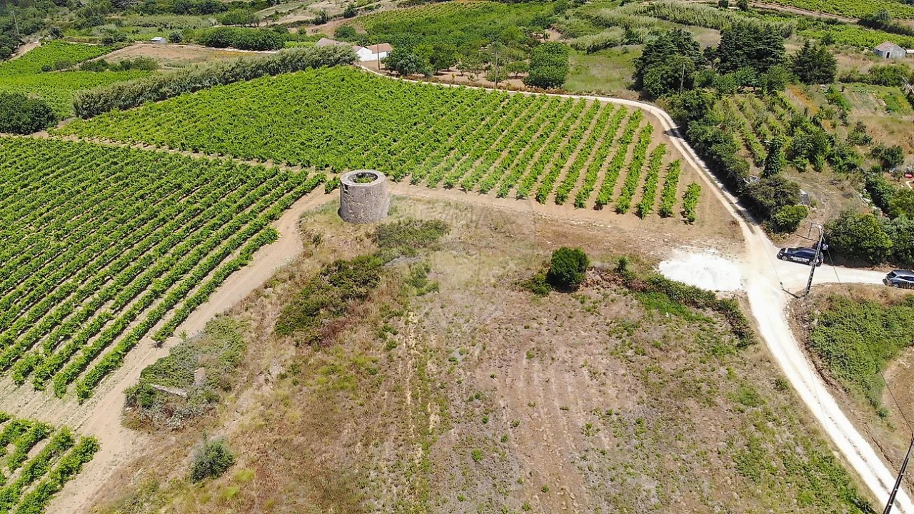 Terreno para Venda em Carnota Foto 3
