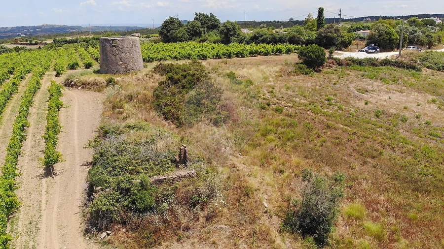 Terreno para Venda em Carnota Foto 17
