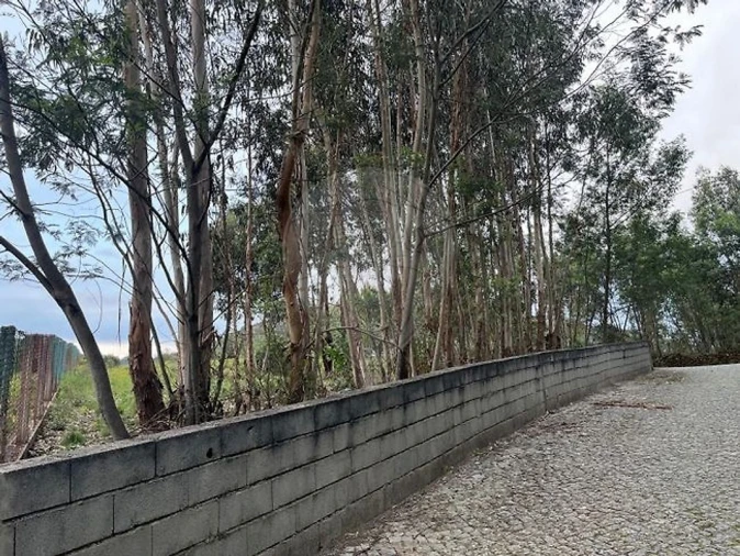 Moradia T3 para Venda em Rio Mau Foto 4