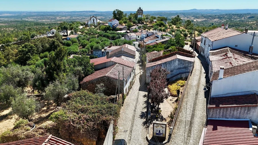 Negócio para Venda em Sarzedas Foto 6