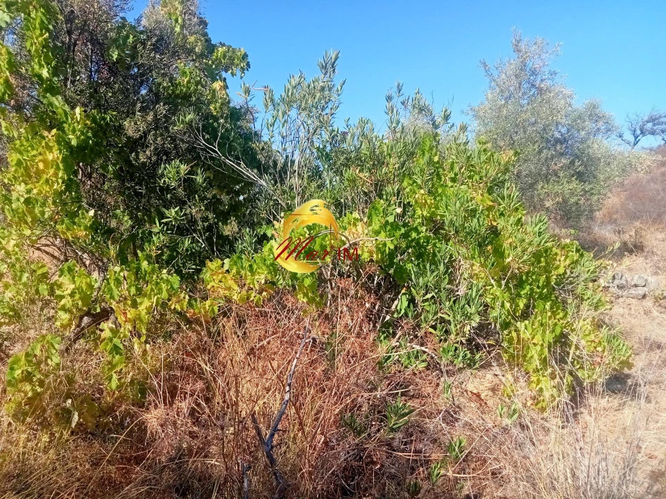 Terreno Agricola ou Rústico para Venda em Odeleite Foto 3