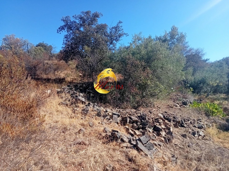 Terreno Agricola ou Rústico para Venda em Odeleite Foto 8