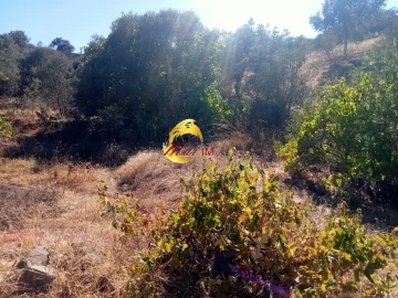 Terreno Agricola ou Rústico para Venda em Odeleite