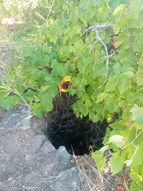 Terreno Agricola ou Rústico para Venda em Odeleite