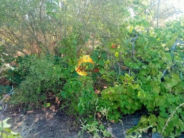 Terreno Agricola ou Rústico para Venda em Odeleite