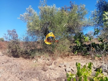 Terreno Agricola ou Rústico para Venda em Odeleite