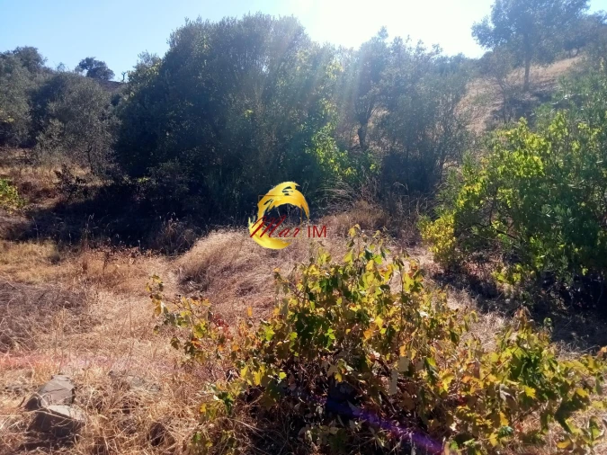 Terreno Agricola ou Rústico para Venda em Odeleite Foto 10