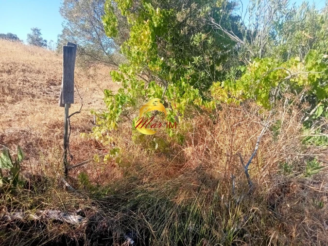 Terreno Agricola ou Rústico para Venda em Odeleite Foto 2