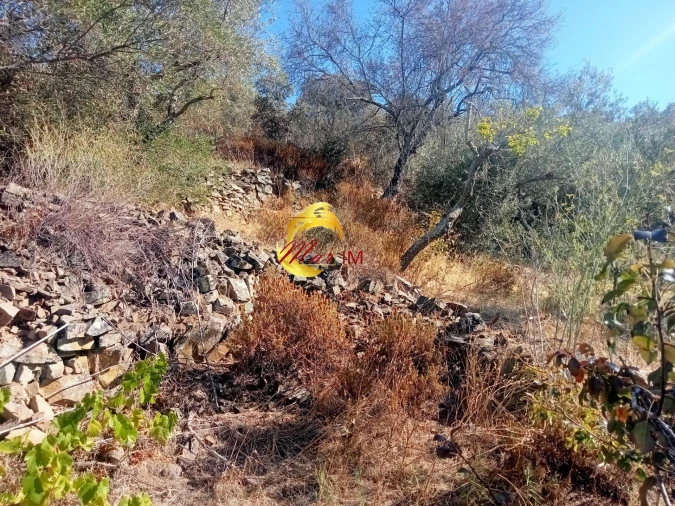 Terreno Agricola ou Rústico para Venda em Odeleite Foto 5