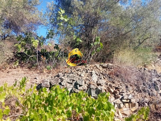 Terreno Agricola ou Rústico para Venda em Odeleite Foto 6