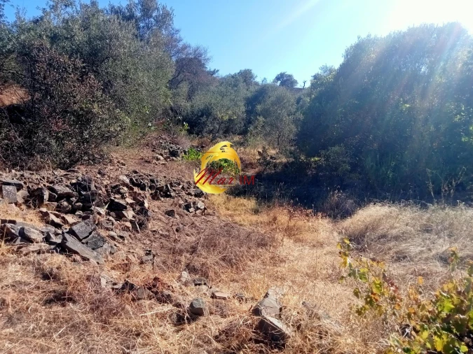 Terreno Agricola ou Rústico para Venda em Odeleite Foto 9