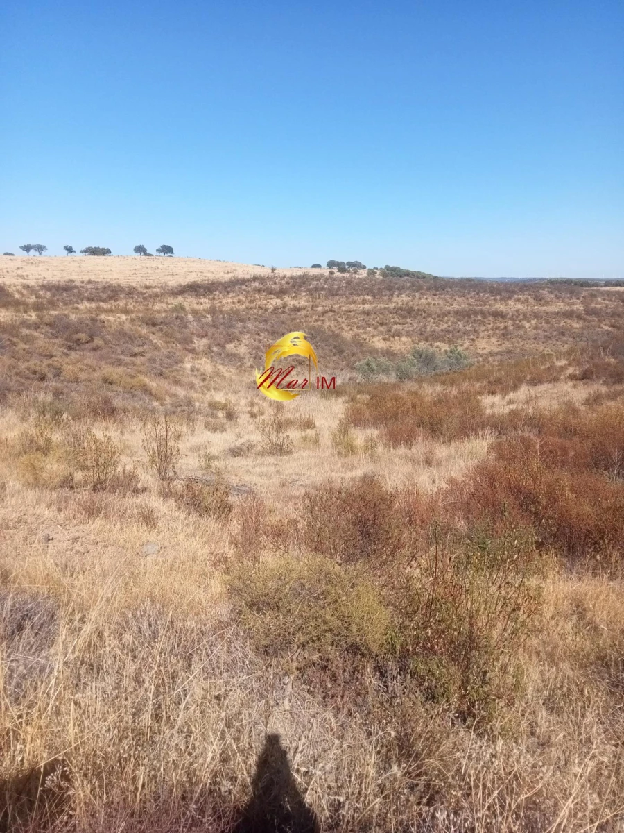 Terreno Agricola ou Rústico para Venda em Odeleite Foto 5