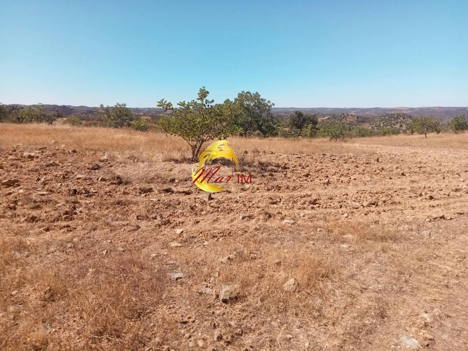 Terreno Agricola ou Rústico para Venda em Odeleite Foto 10