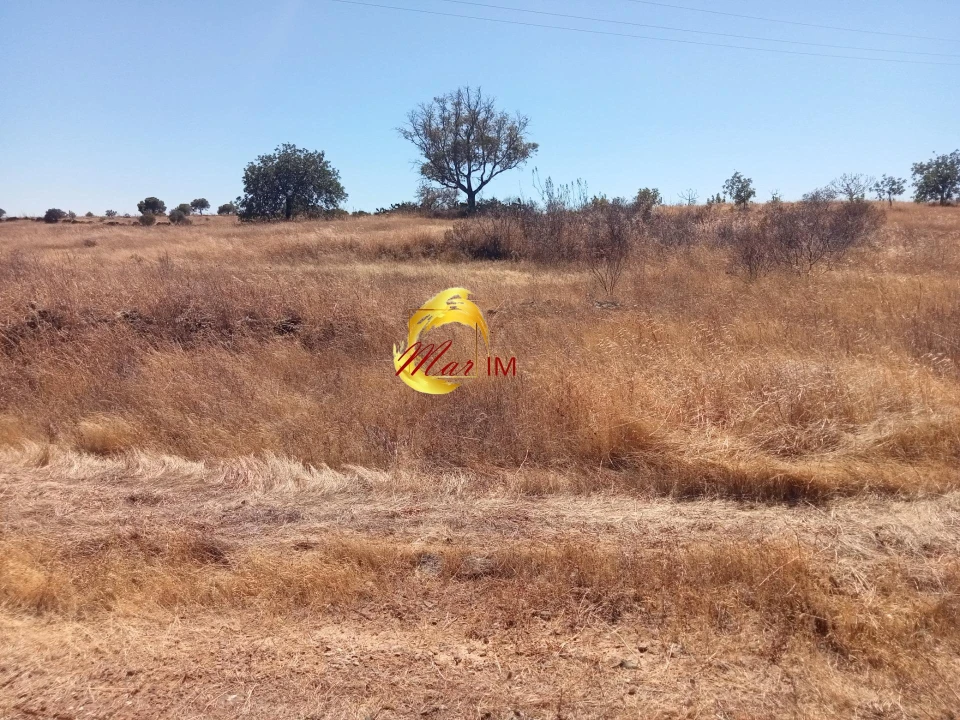 Terreno Agricola ou Rústico para Venda em Odeleite Foto 13