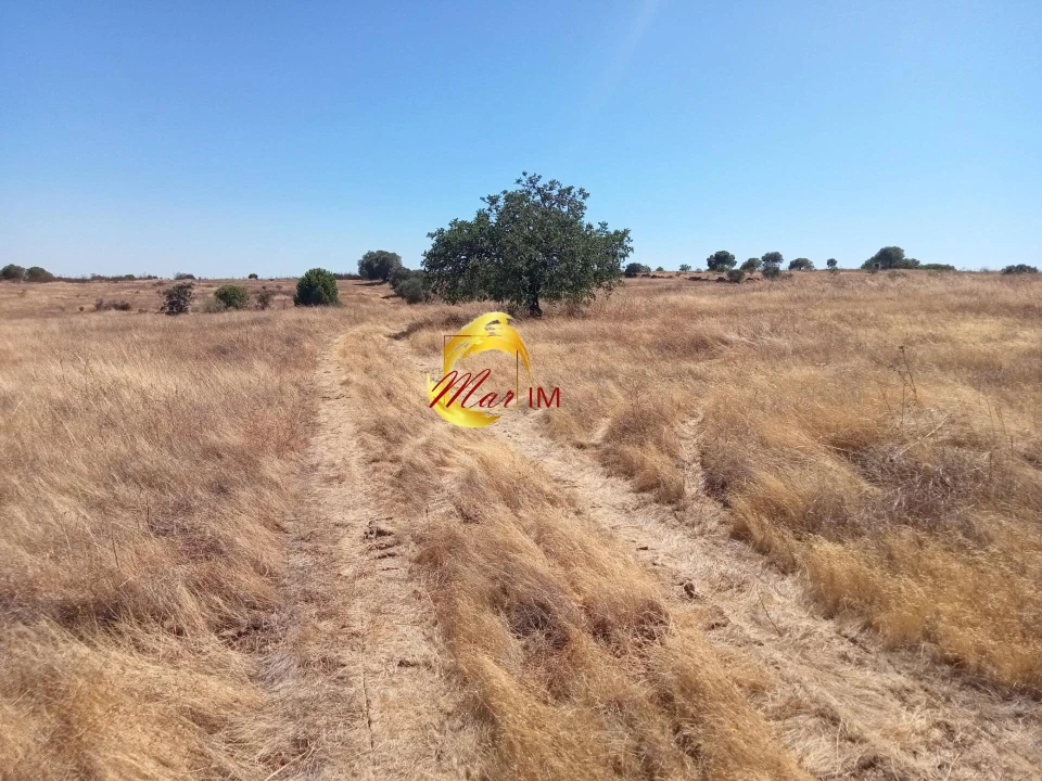 Terreno Agricola ou Rústico para Venda em Odeleite Foto 18