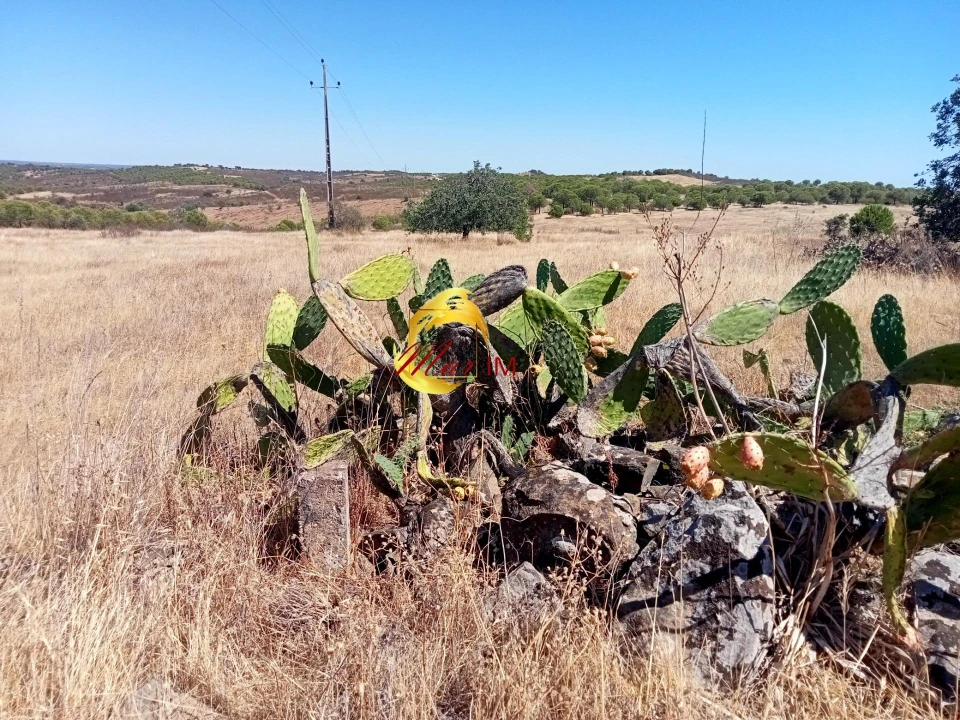Terreno Agricola ou Rústico para Venda em Odeleite Foto 5