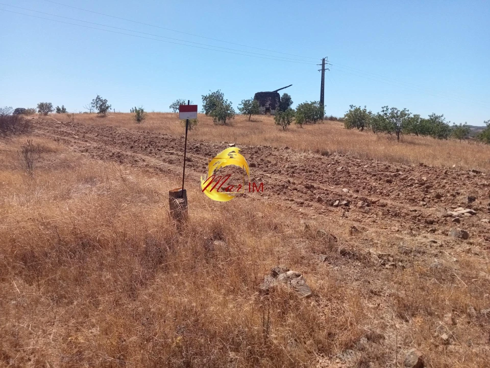 Terreno Agricola ou Rústico para Venda em Odeleite Foto 7