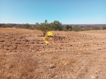 Terreno Agricola ou Rústico para Venda em Odeleite