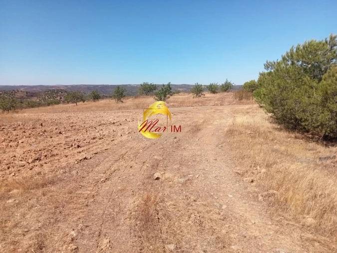 Terreno Agricola ou Rústico para Venda em Odeleite Foto 14