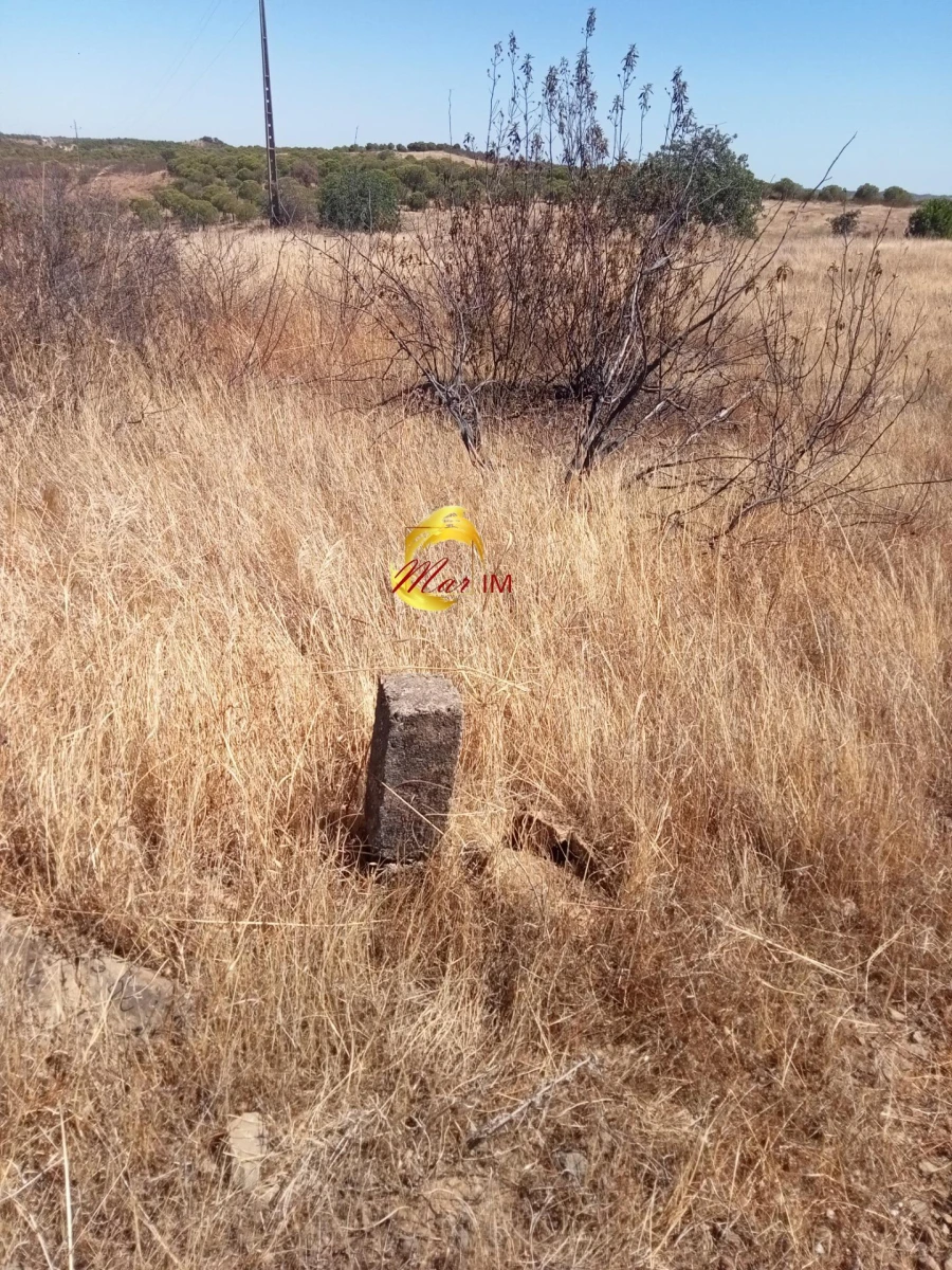Terreno Agricola ou Rústico para Venda em Odeleite Foto 21