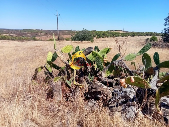 Terreno Agricola ou Rústico para Venda em Odeleite Foto 5
