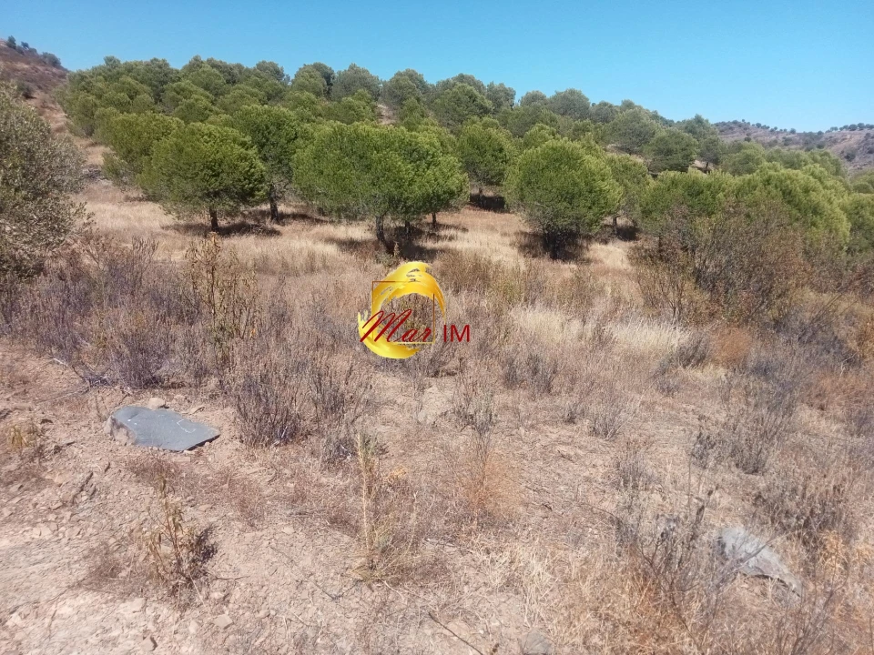 Terreno Agricola ou Rústico para Venda em Odeleite Foto 7